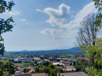 Buja-2026_251_142250.jpg