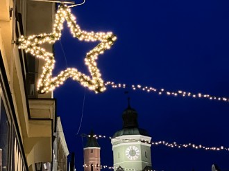 Standerl-unter-Christbaum-2025_002.jpg