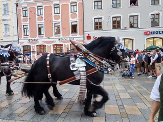 Volksfestauszug22_031.jpg